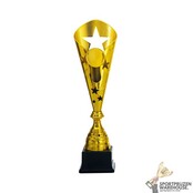 Leuke award in het Goud, zilver of brons