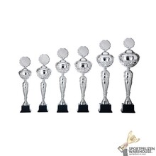 Luxe Trofee met een Zilver accent - AK5092