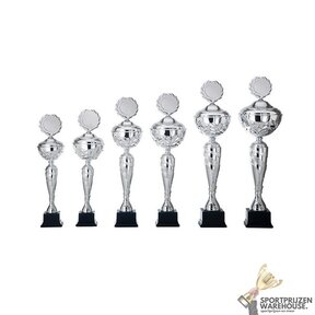 Luxe Trofee met een Zilver accent - AK5092