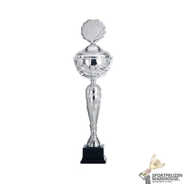 Luxe Trofee met een Zilver accent