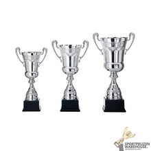 Trofee met een Zilver accent - AK5096