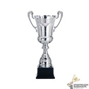 Trofee met een Zilver accent