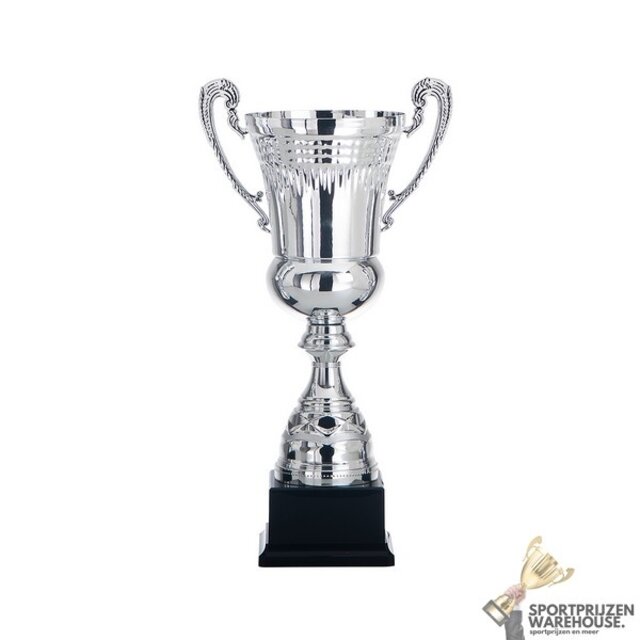 Trofee met een Zilver accent