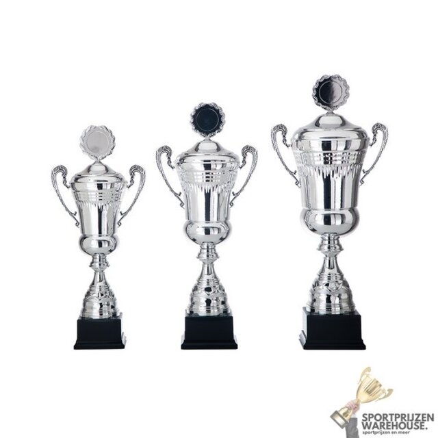 Leuke beker met een Zilver accent