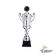 Leuke beker met een Zilver accent