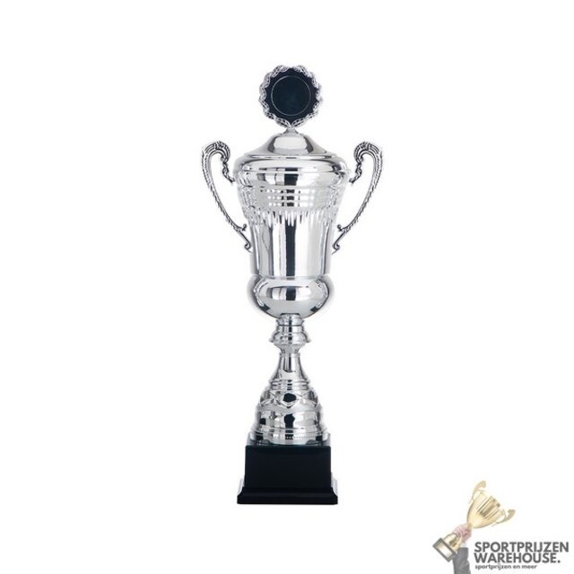 Leuke beker met een Zilver accent