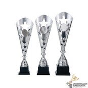 Leuke award met een Zilver kleur