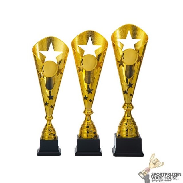 Luxe Trofee met een Goud accent