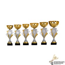 Trofee met een Zilver accent - AK5275