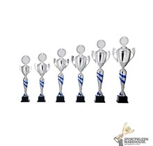 Luxe Trofee met een Blauw accent