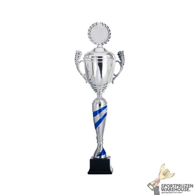 Luxe Trofee met een Blauw accent
