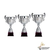 Trofee met een Zilver accent