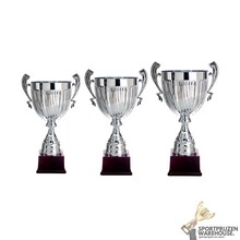 Trofee met een Zilver accent - AK5500