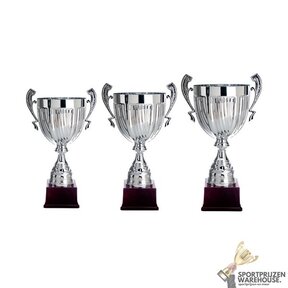 Trofee met een Zilver accent - AK5500
