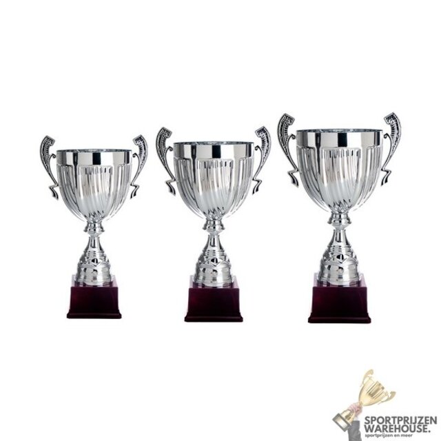 Trofee met een Zilver accent