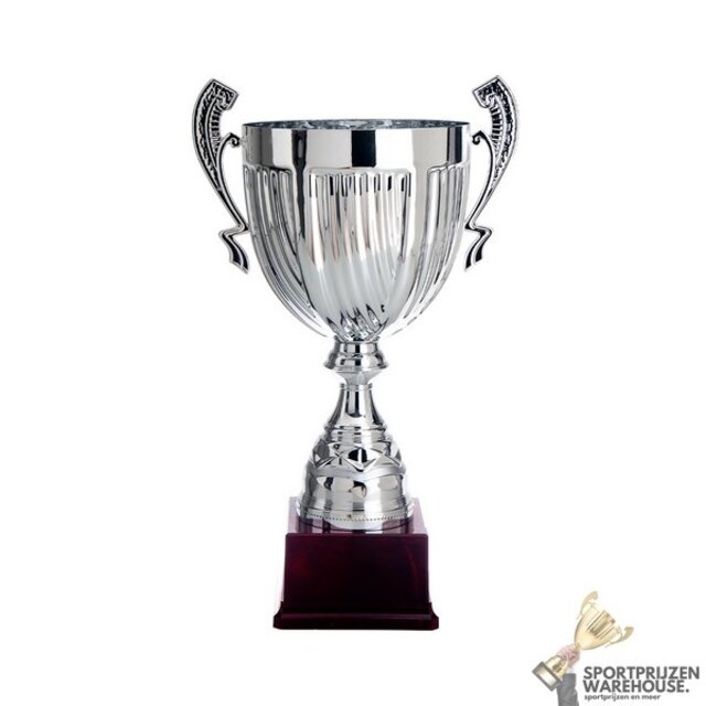 Trofee met een Zilver accent