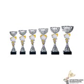 Leuke beker met een Goud accent