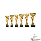 Luxe Trofee met een Zilver accent
