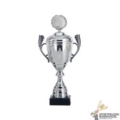 Mooie beker met een Zilver Accent