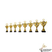 Leuke award met een Goud kleur