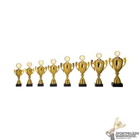 Leuke award met een Goud kleur - AK5614