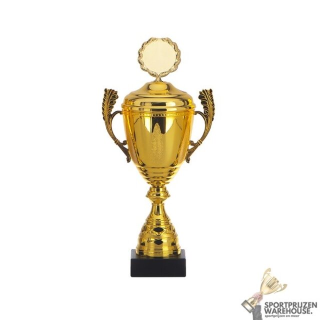 Leuke award met een Goud kleur