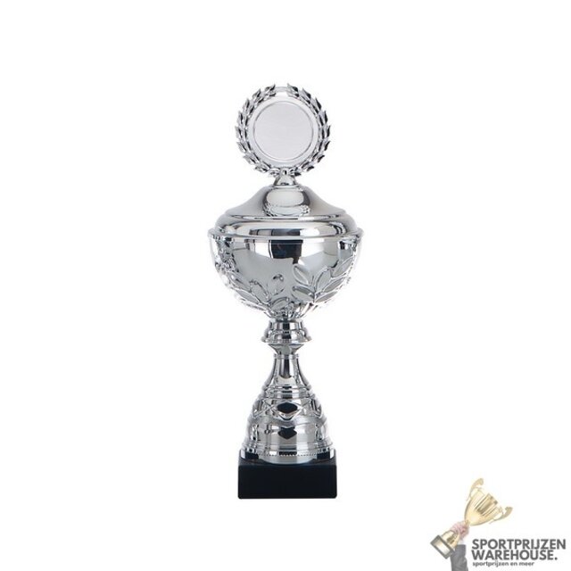 Luxe Trofee met een Zilver accent