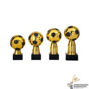 Leuke award met een Zwart kleur