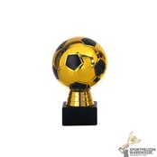 Leuke award met een Zwart kleur