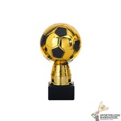 Leuke award met een Zwart kleur