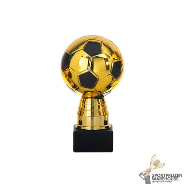 Leuke award met een Zwart kleur