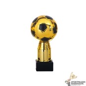 Leuke award met een Zwart kleur