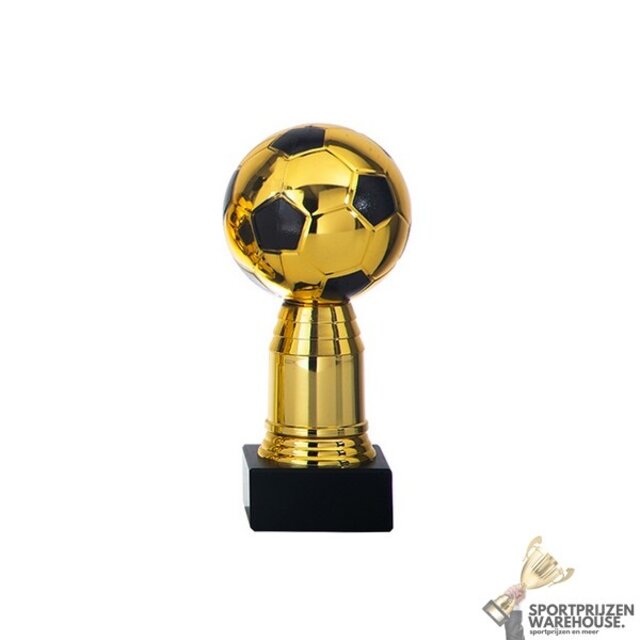 Leuke award met een Zwart kleur