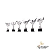 Leuke award met een Zilver kleur