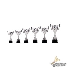 Leuke award met een Zilver kleur - AK5700