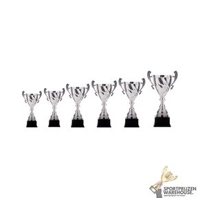 Leuke award met een Zilver kleur - AK5700