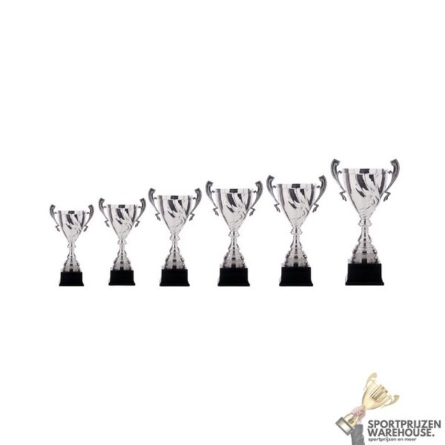 Leuke award met een Zilver kleur