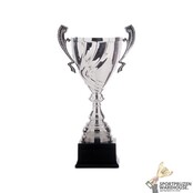 Leuke award met een Zilver kleur