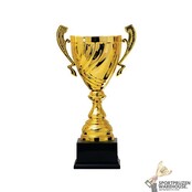 Leuke beker met een Goud accent