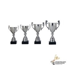 Luxe Trofee met een Zilver accent
