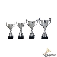 Luxe Trofee met een Zilver accent - AK5762