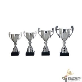 Luxe Trofee met een Zilver accent - AK5762