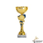 Leuke award met een Blauw kleur