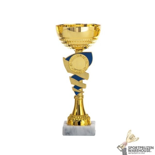 Leuke award met een Blauw kleur