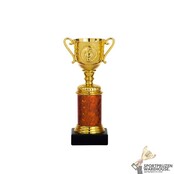 Luxe Trofee met een Rood accent Luxe Trofee met een Rood accent