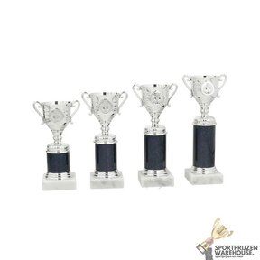 Luxe Trofee met een Blauw accent - AS3224