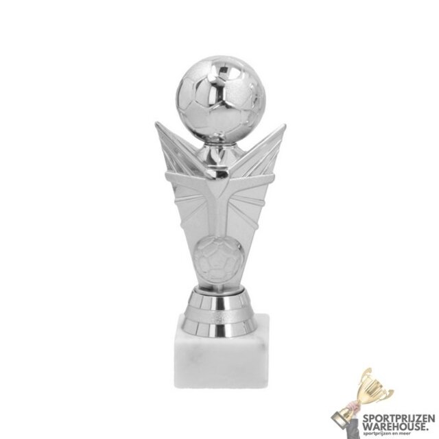 Luxe Trofee met een Zilver accent