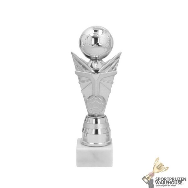 Luxe Trofee met een Zilver accent