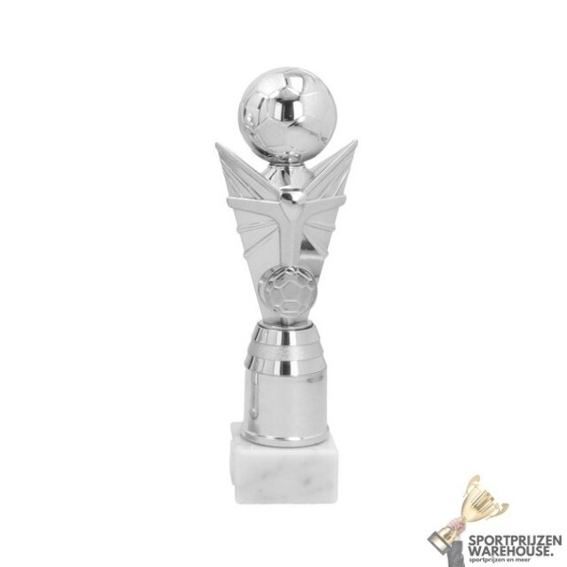 Luxe Trofee met een Zilver accent