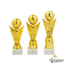 Trofee met een Goud accent